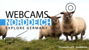 Webcams aus Norddeich mit Blick auf das Wattenmeer